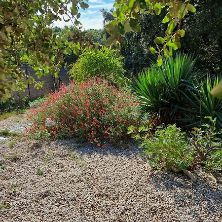 Bed and Breakfast Le Calme De La Garrigue Russan Exterior foto
