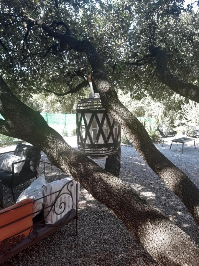 Bed and Breakfast Le Calme De La Garrigue Russan Exterior foto