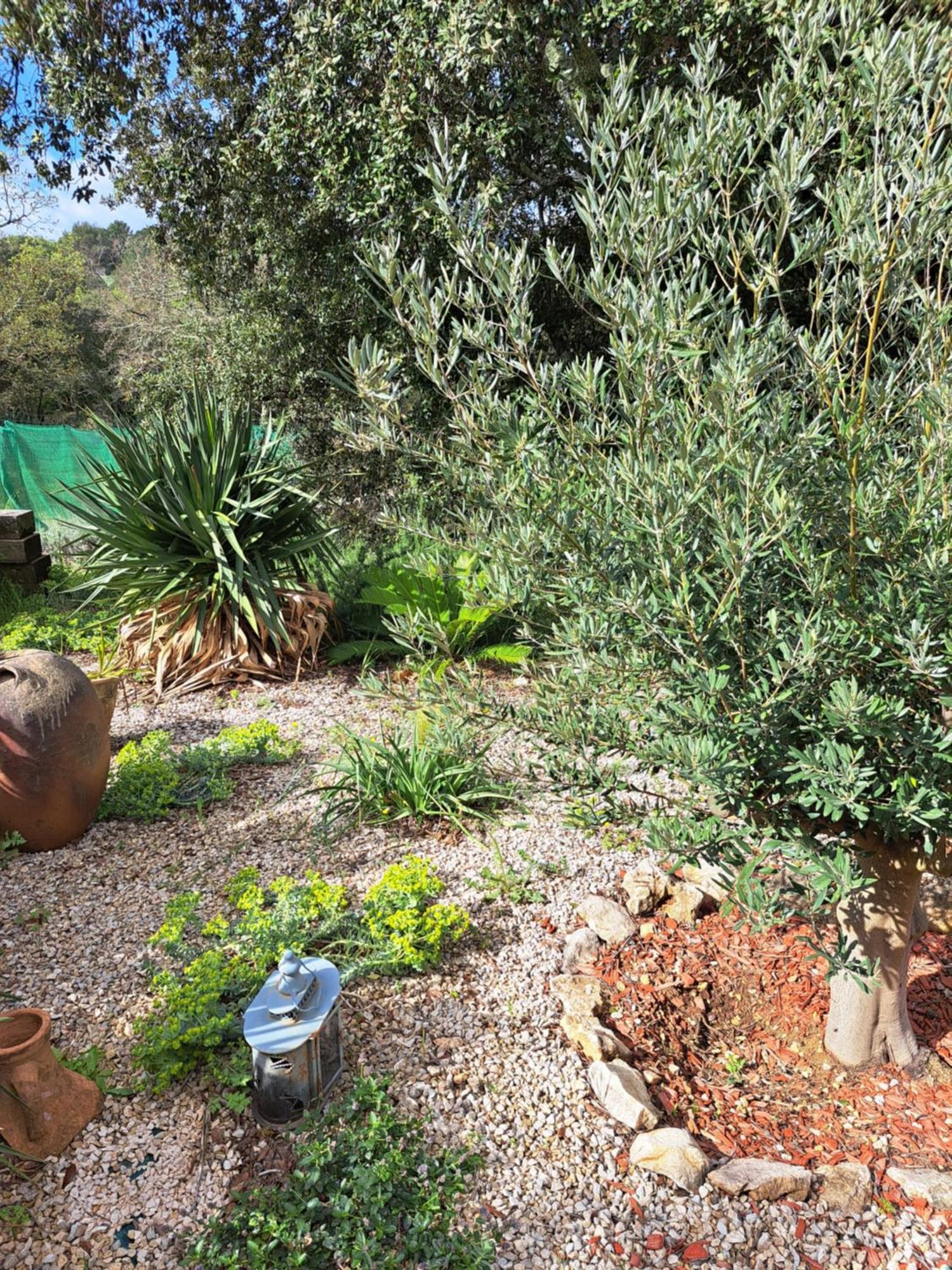 Bed and Breakfast Le Calme De La Garrigue Russan Exterior foto