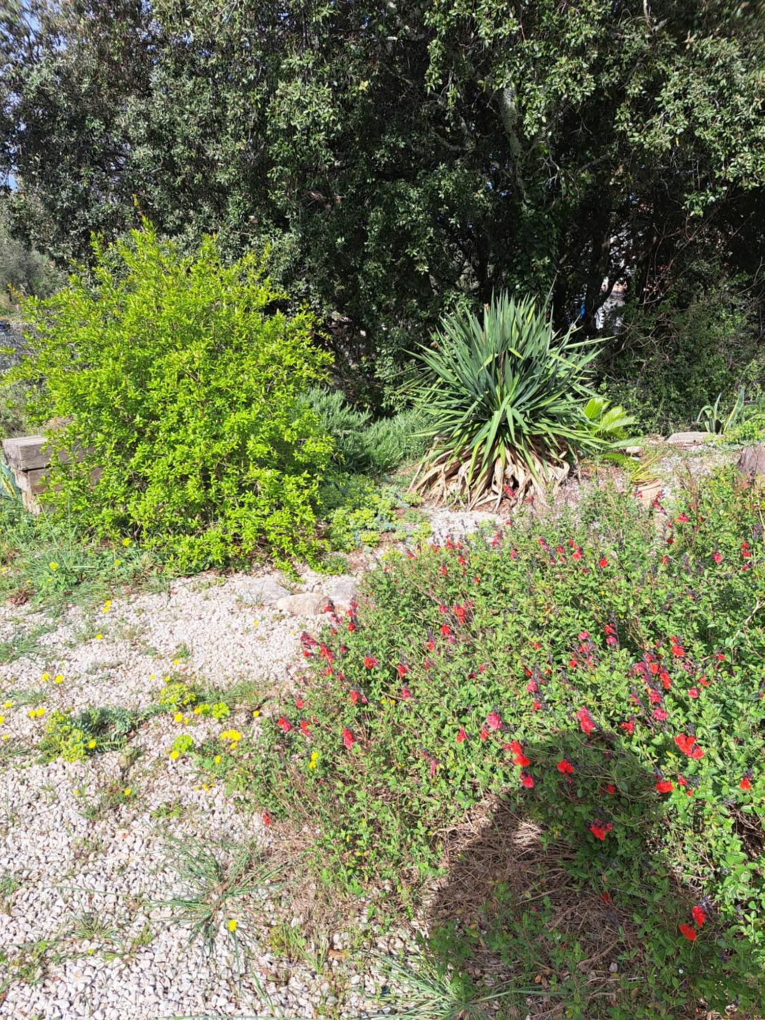 Bed and Breakfast Le Calme De La Garrigue Russan Exterior foto