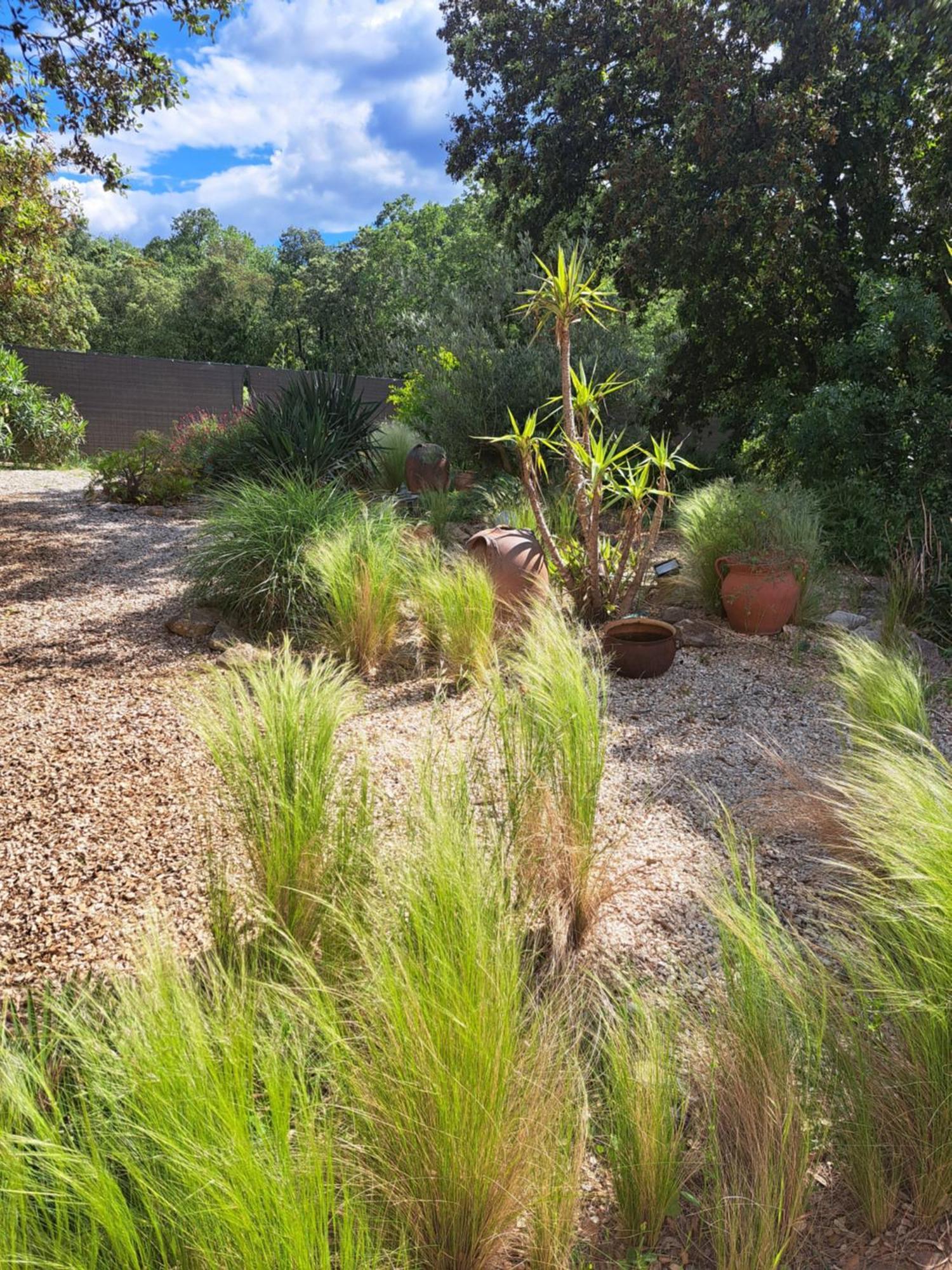 Bed and Breakfast Le Calme De La Garrigue Russan Exterior foto
