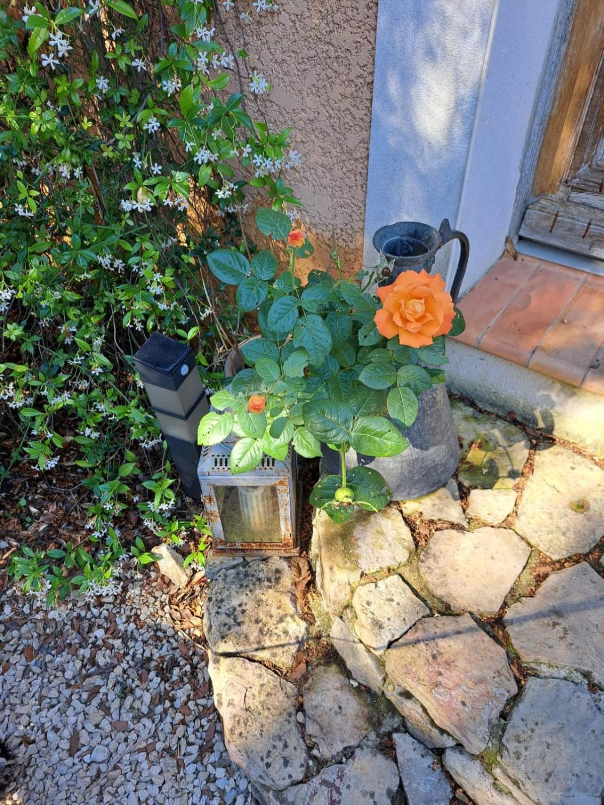 Bed and Breakfast Le Calme De La Garrigue Russan Exterior foto
