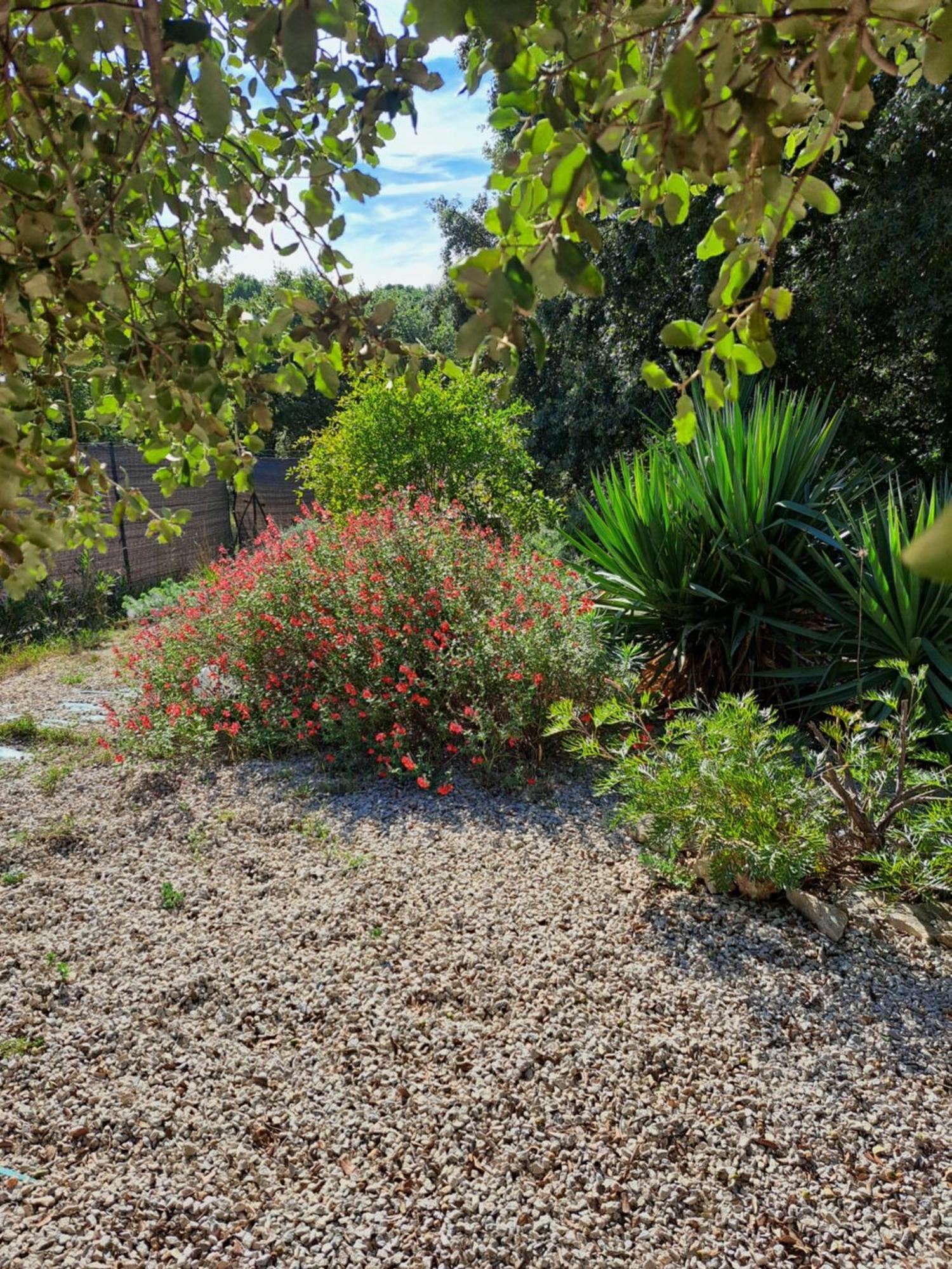 Bed and Breakfast Le Calme De La Garrigue Russan Exterior foto