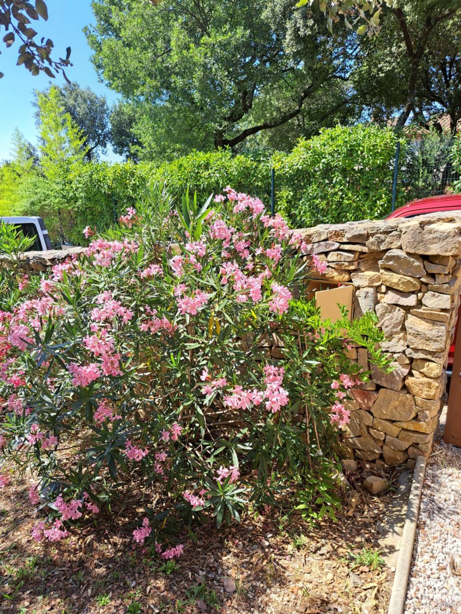 Bed and Breakfast Le Calme De La Garrigue Russan Exterior foto