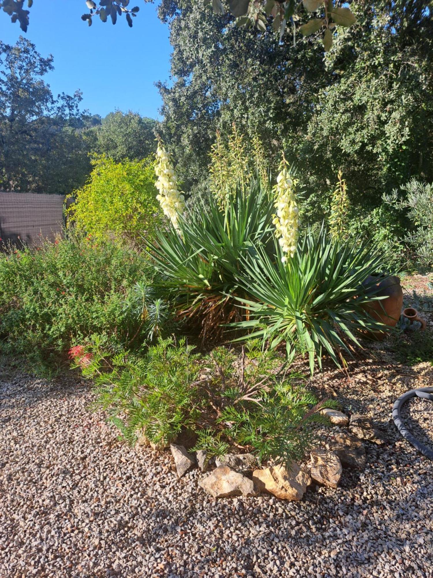 Bed and Breakfast Le Calme De La Garrigue Russan Exterior foto